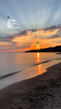 Zehirli Gül