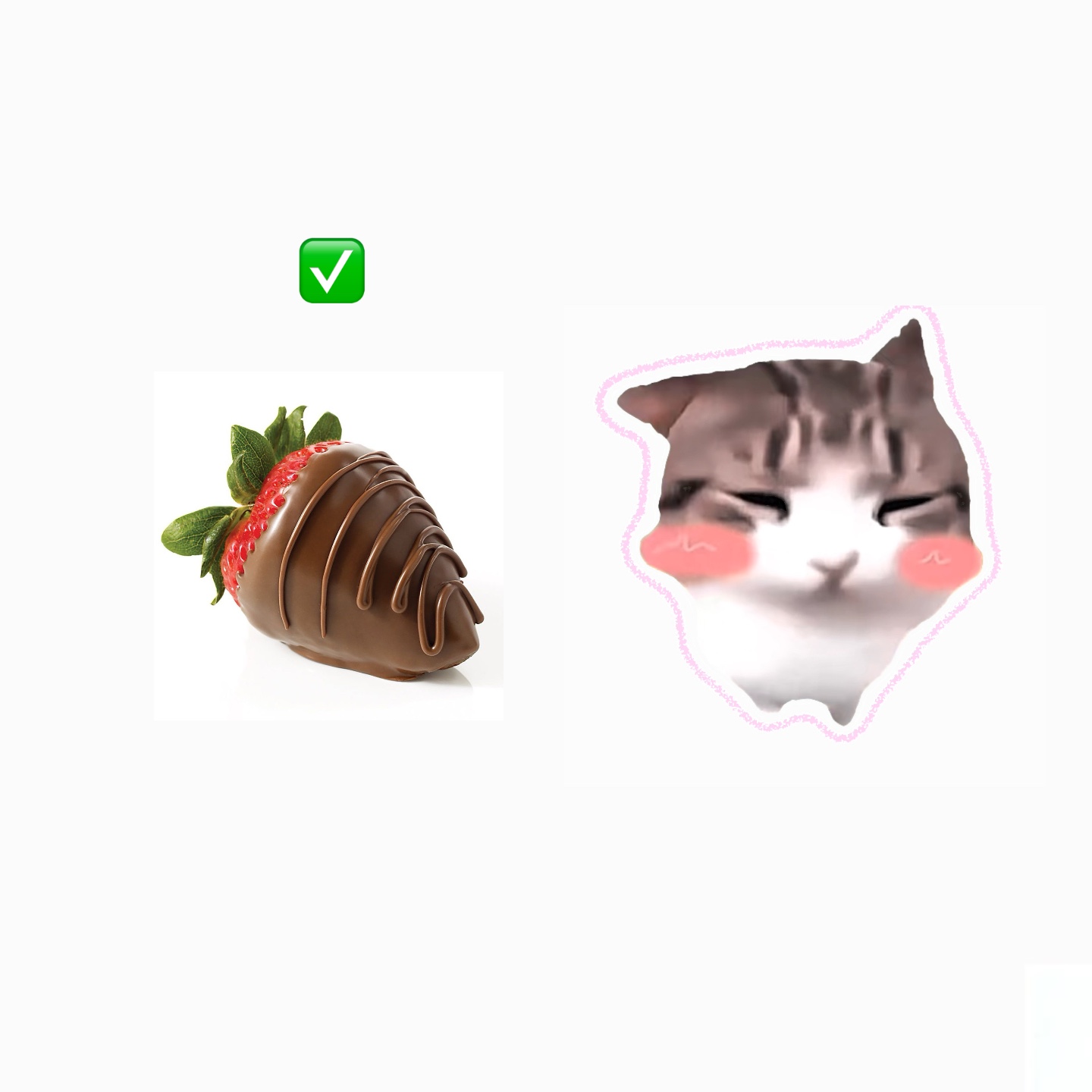 댐 댐 디 디 고양이