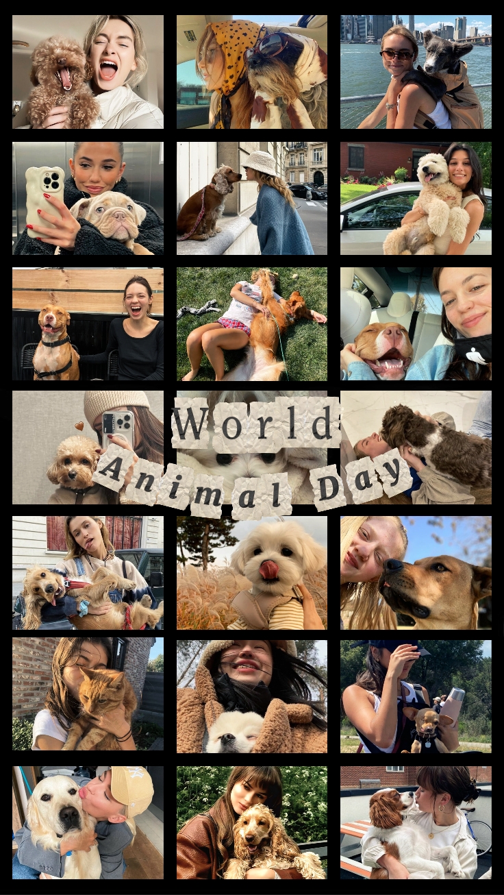 Día Mundial de los Animales