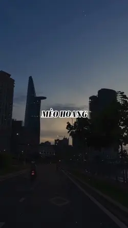 MÈO HOANG