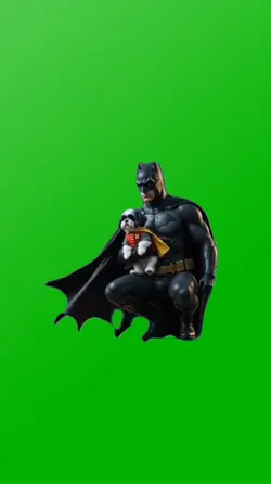JUST BATMAN & ROBIN