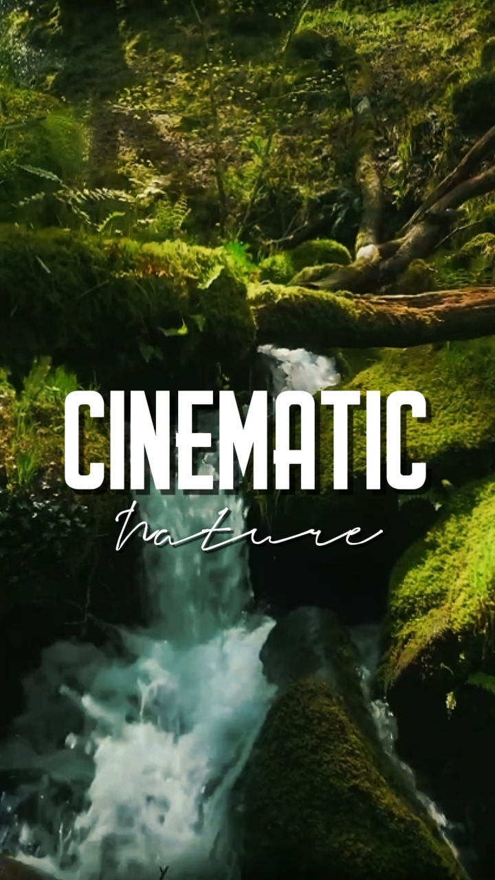 CINEMATIC NATURE 