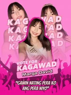 PINK THEME SK