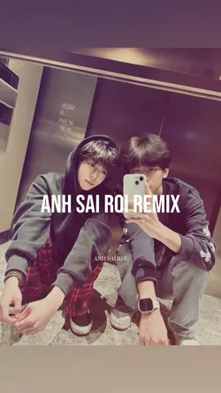 Anh sai rồi remix