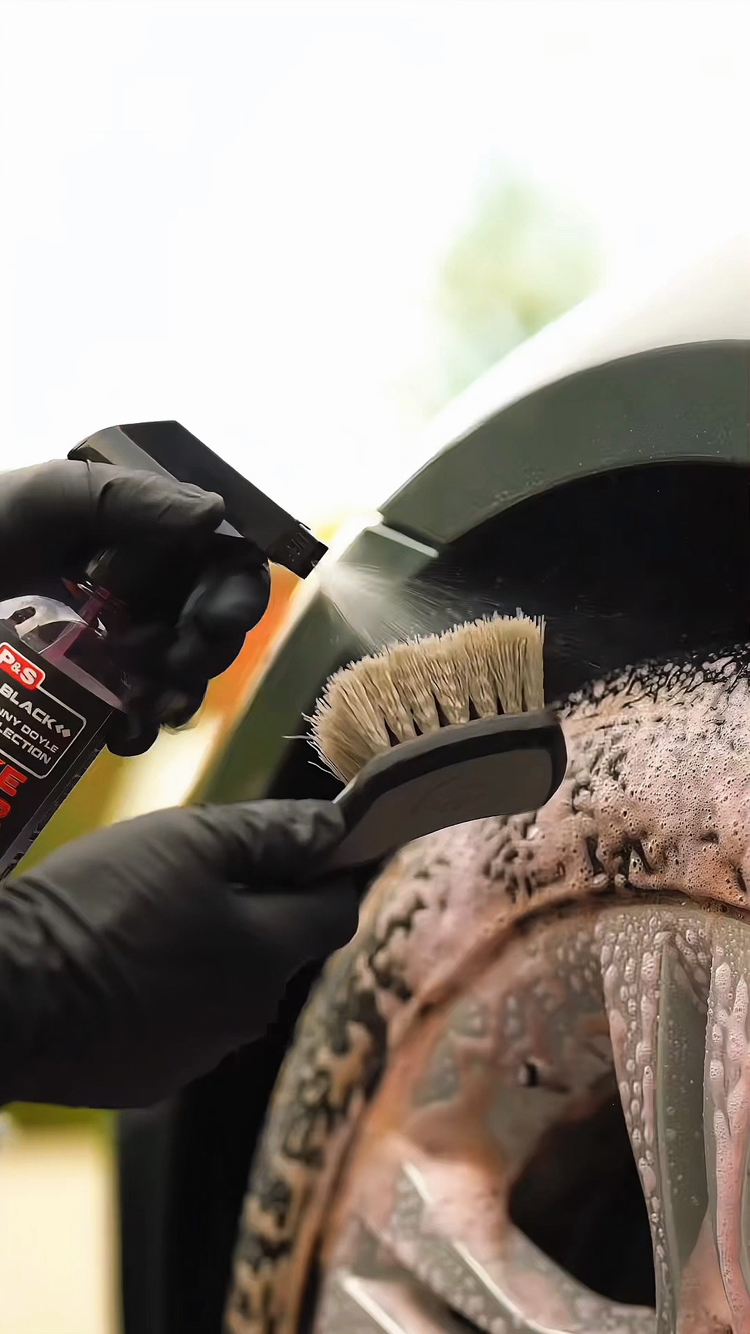 car cleaning