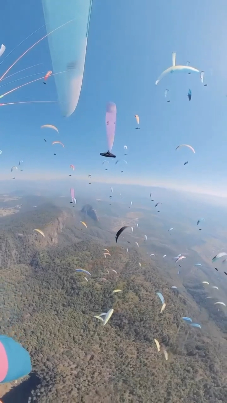 Skydiving Daily 
