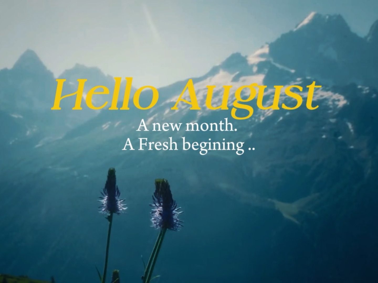 Hello Agosto