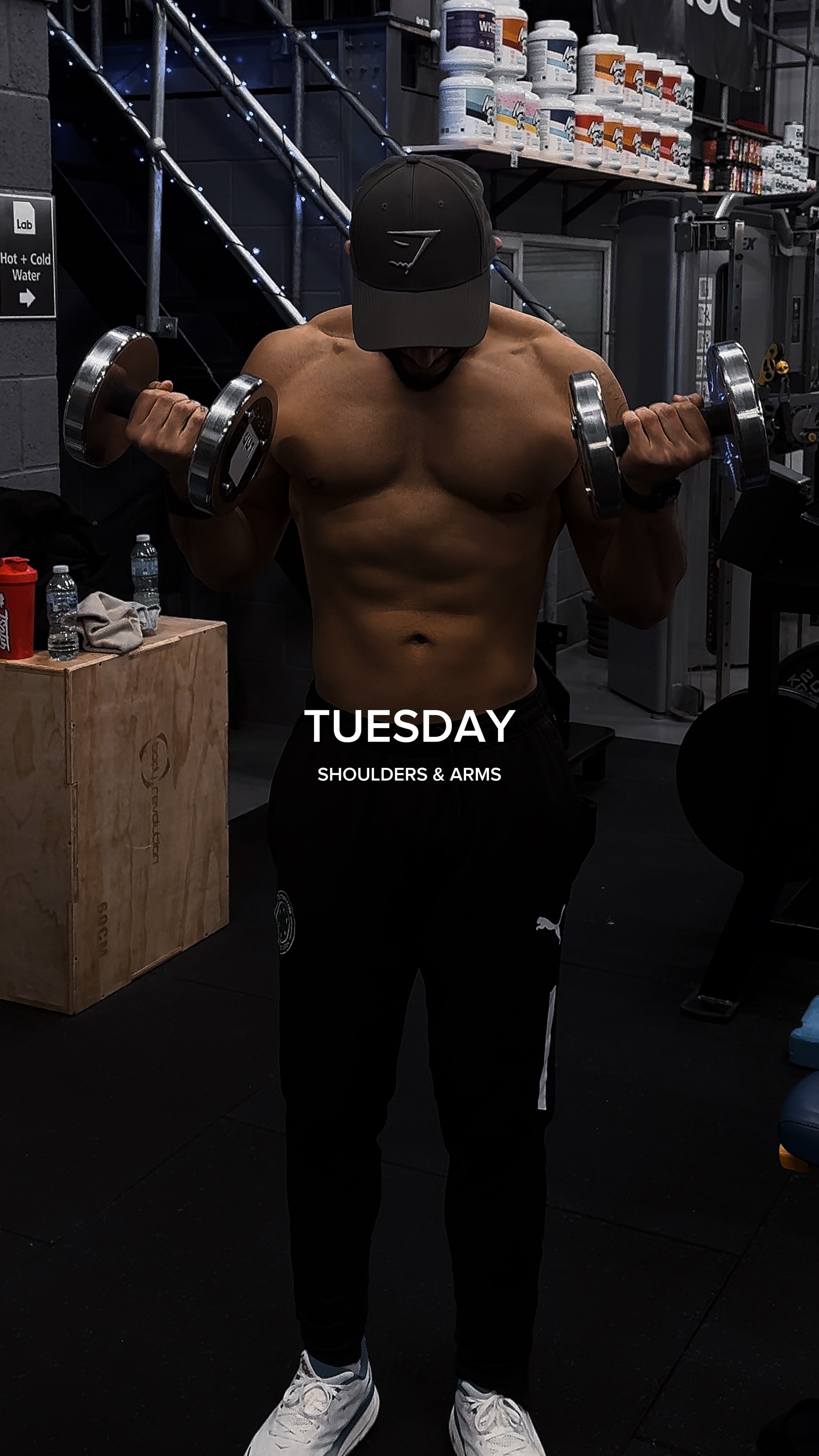 Weekly Workout Split