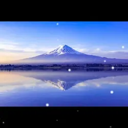 Whybackhome