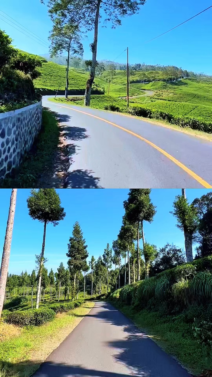 2 vídeos kolase