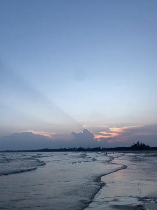 Foto ao vivo 