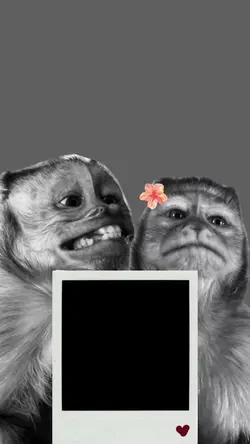 monos novios 