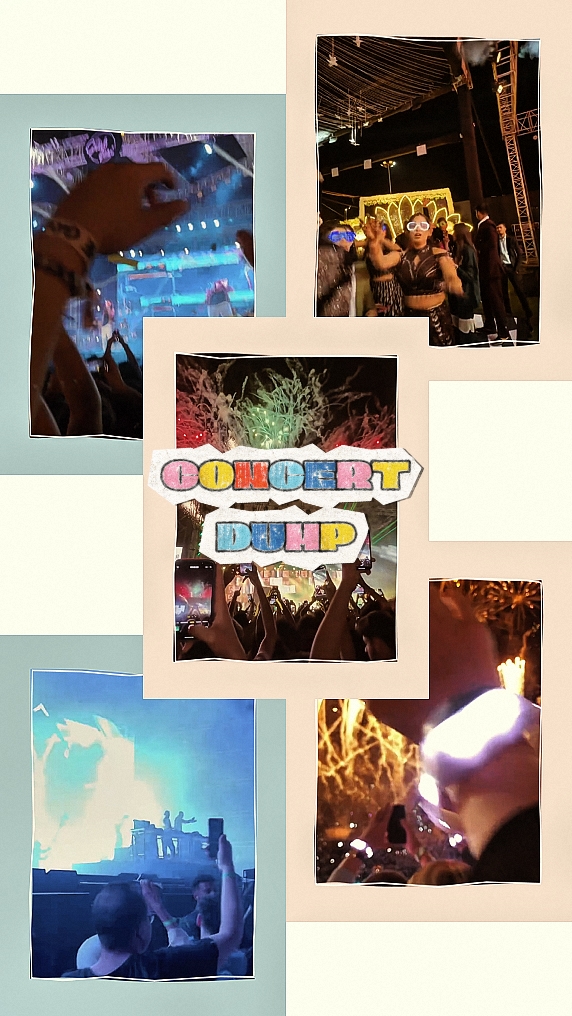 DUMP DE CONCIERTO 