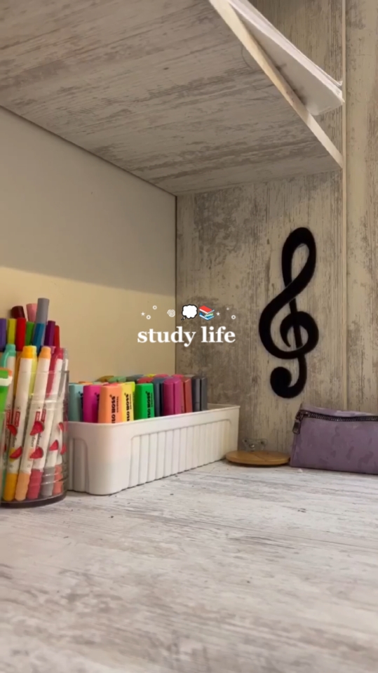 studi vlog 