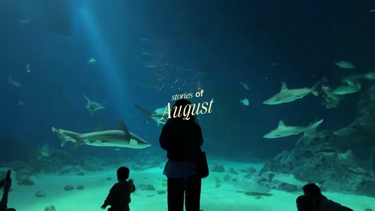 Historias de agosto 