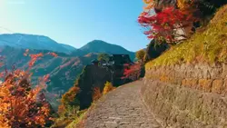 28min relax japan
