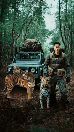 JUNGLE