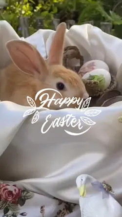 happy easter