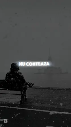 muzica, versuri 