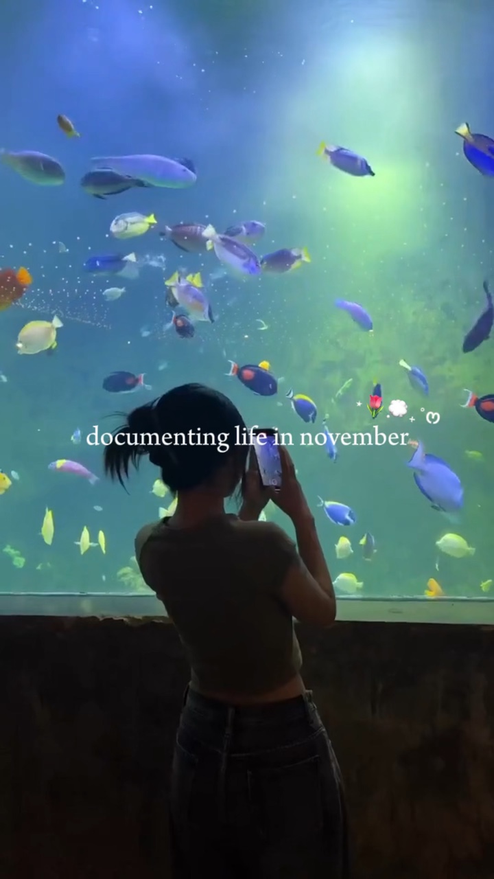 Documentando la vida en 