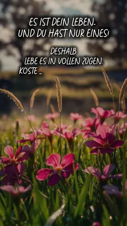 spruch leben