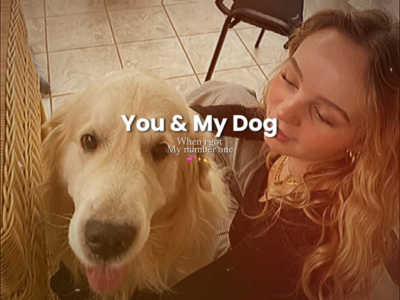 Du und mein Hund 