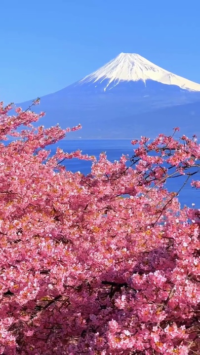 Bonjour le printemps