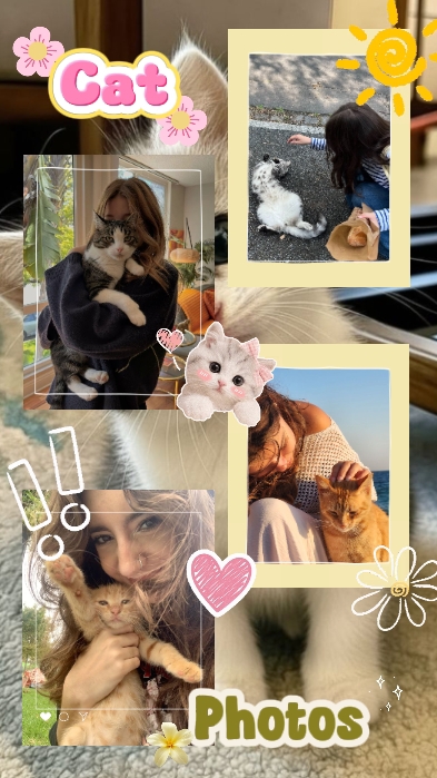 happy cat day
