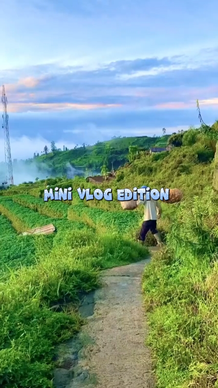 Vlog de abertura 