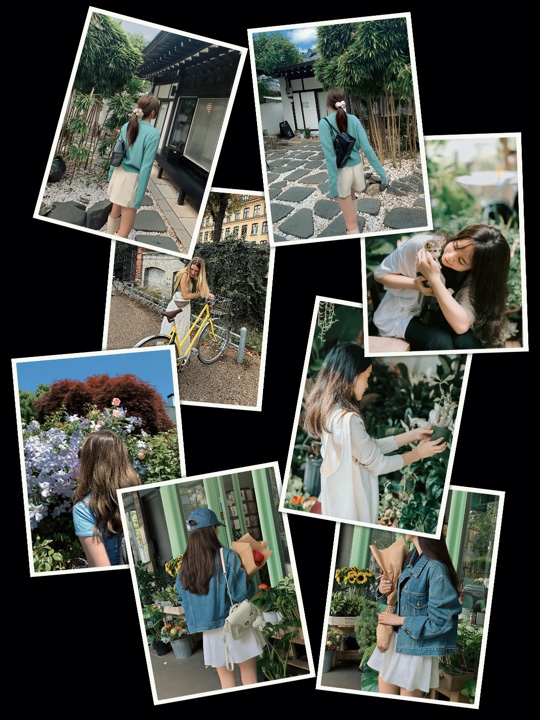 8Pic Frame Aesthetic