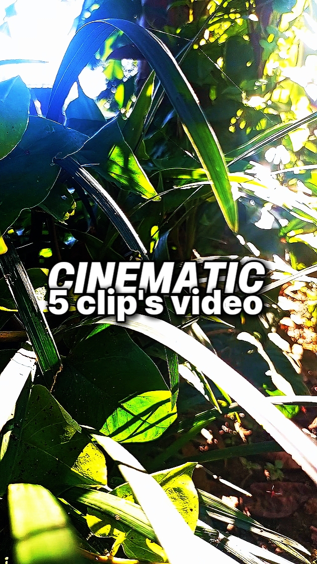 5 clip's video 
