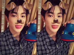 dog filter