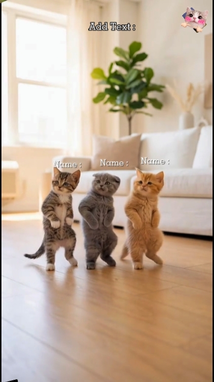 Funny Dance Cat