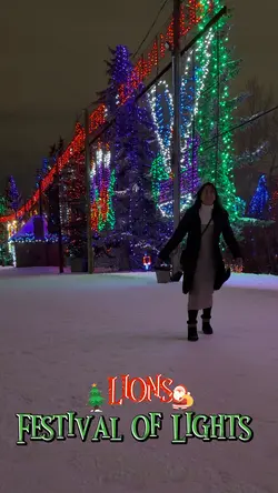 Christmas Lights