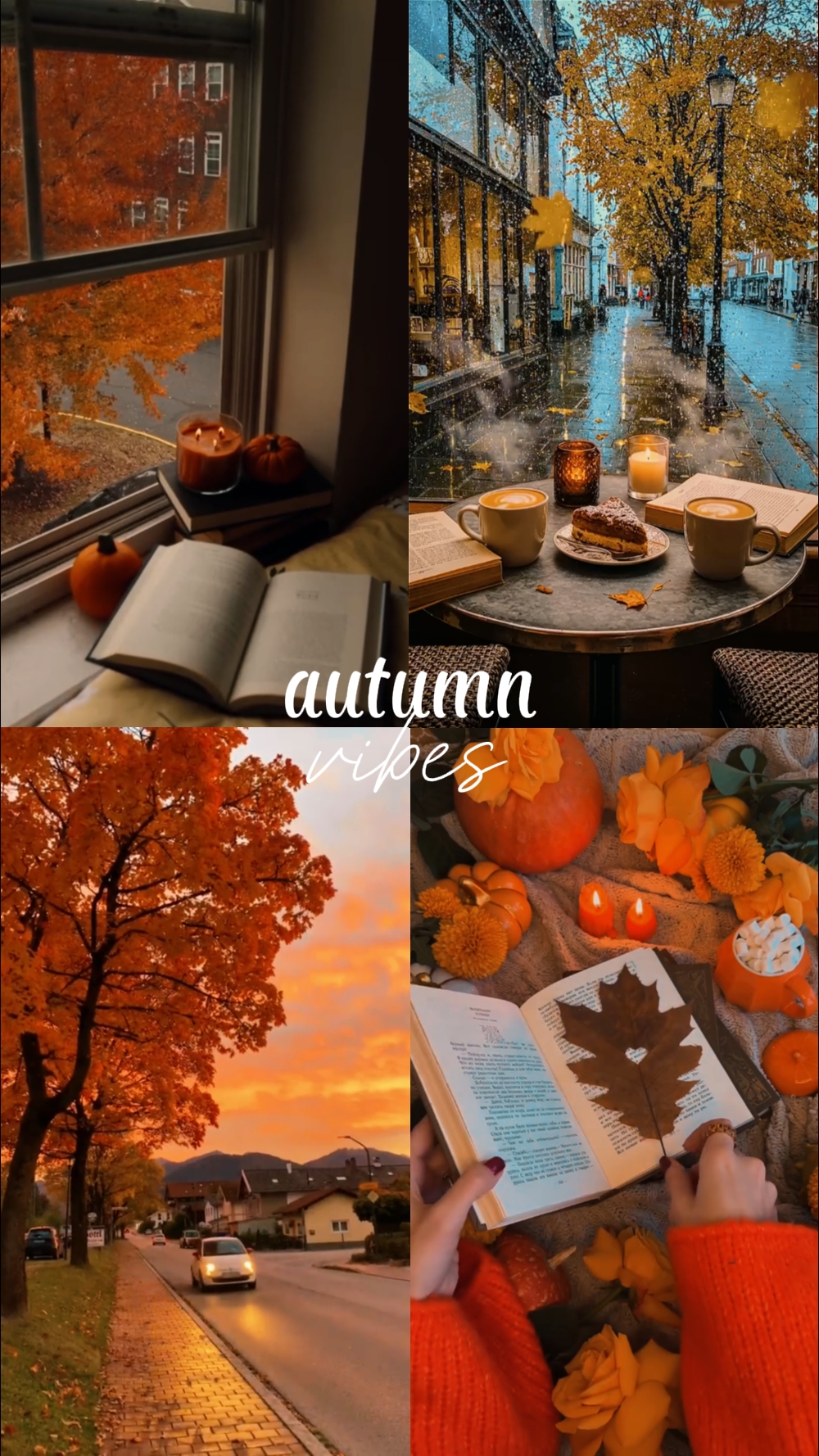 autumn vibes