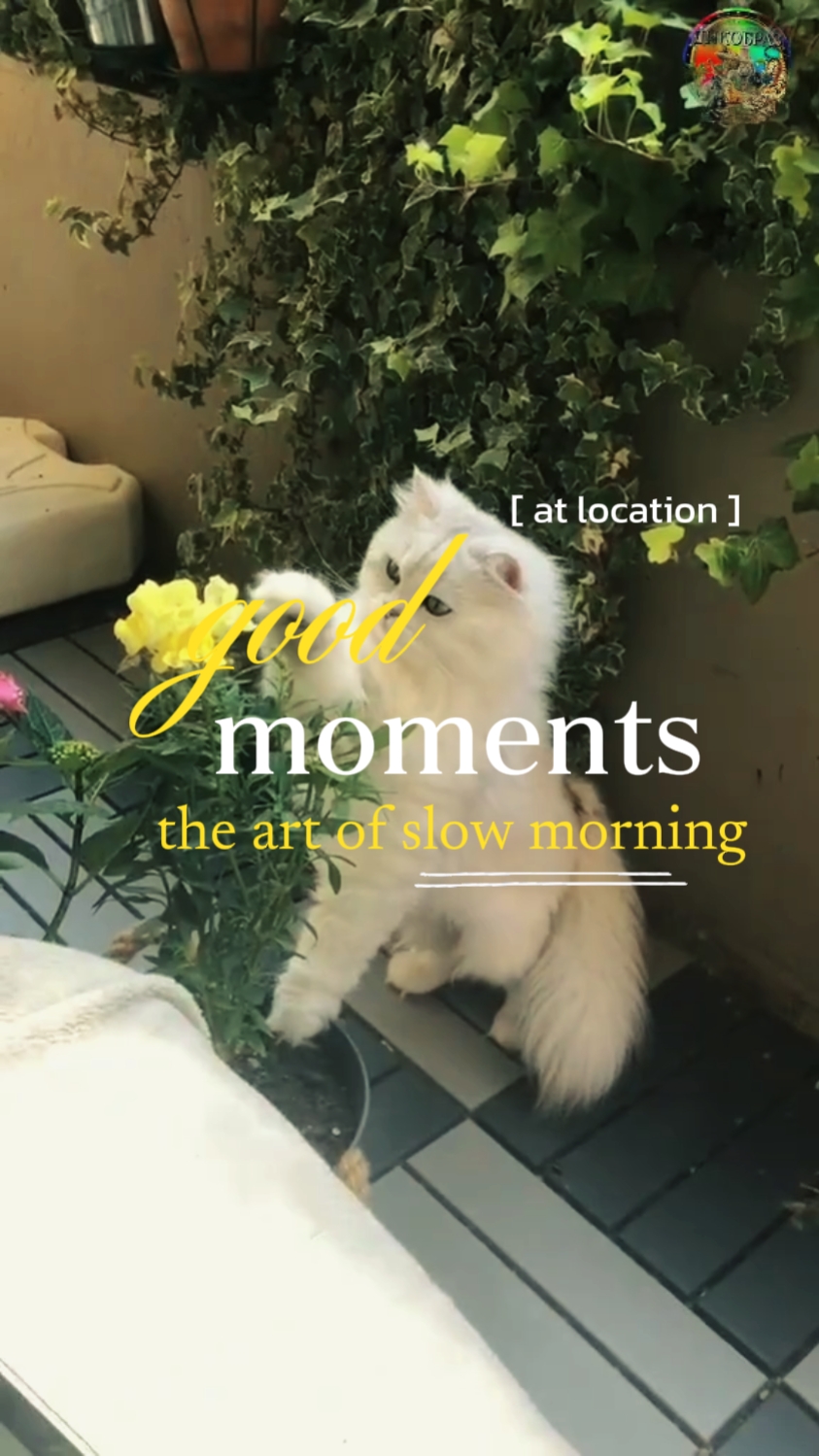 good morning