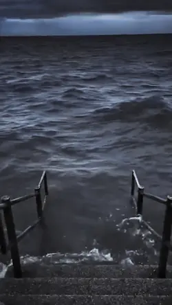 Sea meme trend