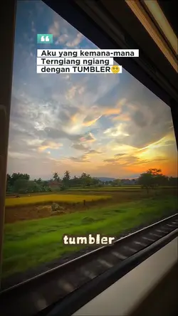 Tumbler Viral