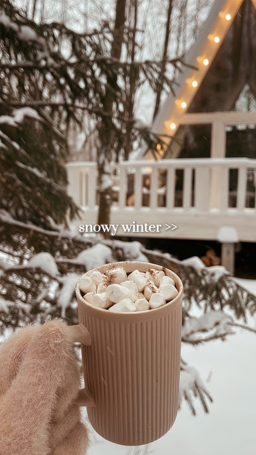 snowy winter