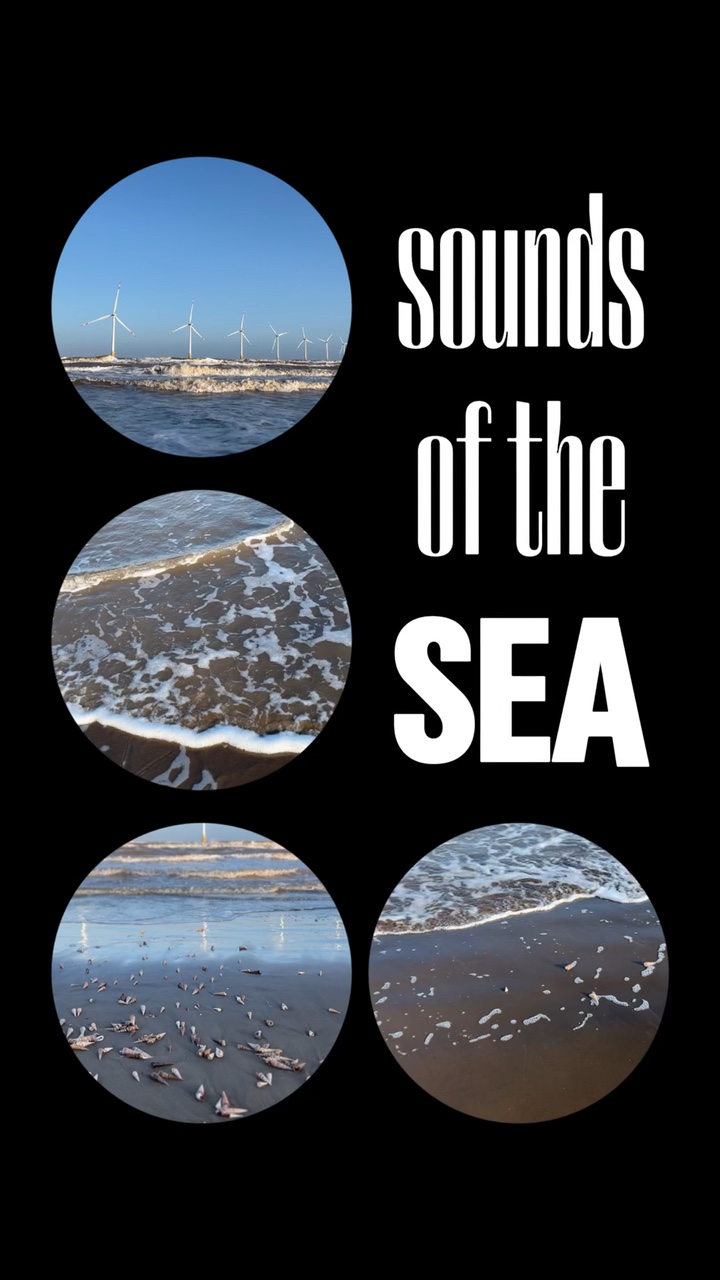 Sounds of the Sea 🌊