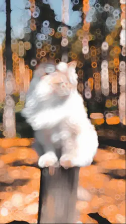 trending Slowmo HD