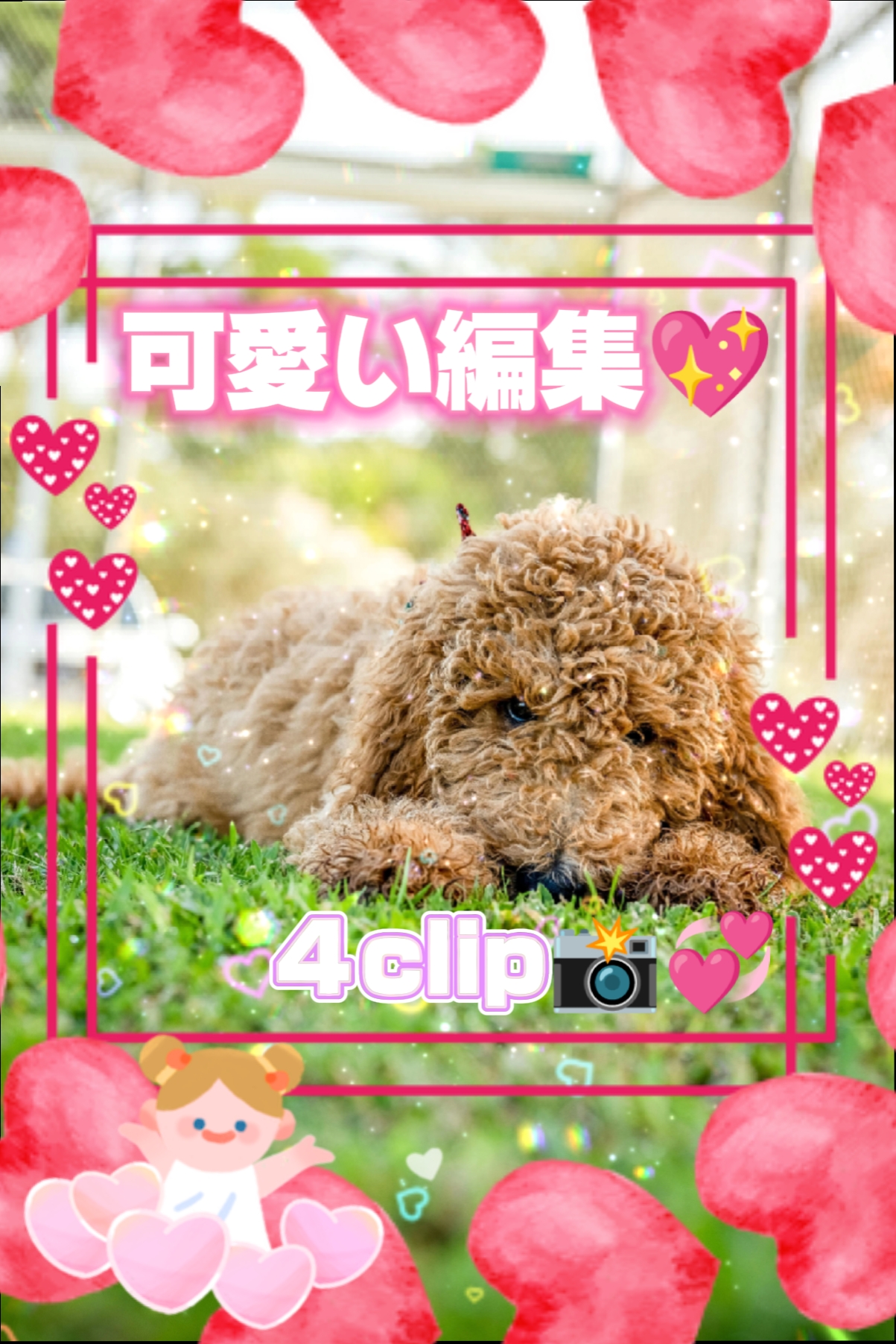 Cover Picture