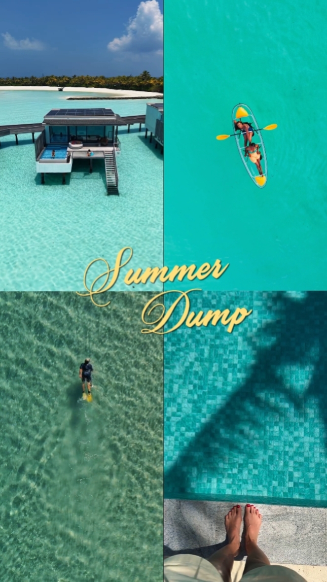 Summer Dump 