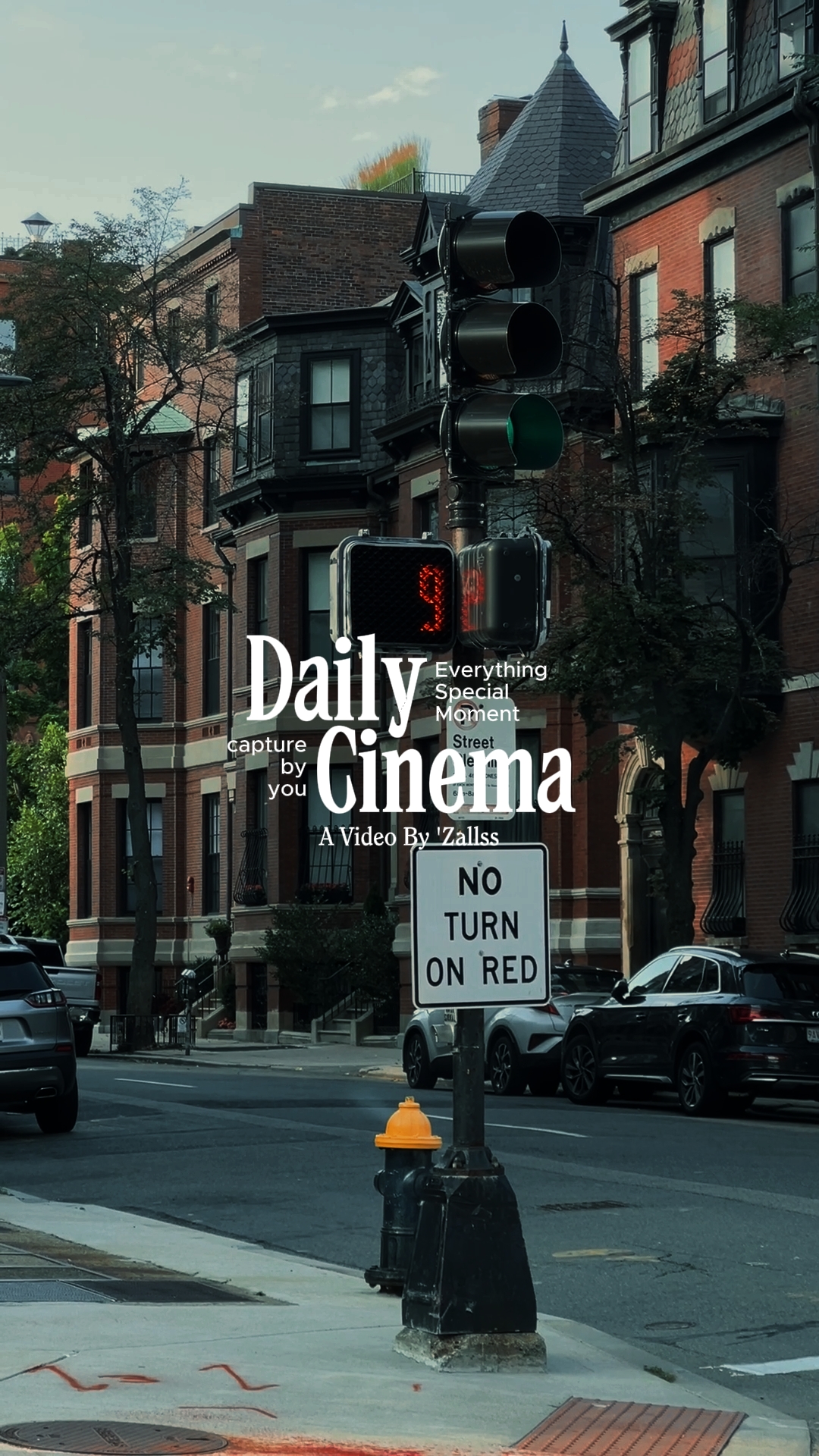 DAILY CINEMA 