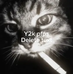 Y2k pfps