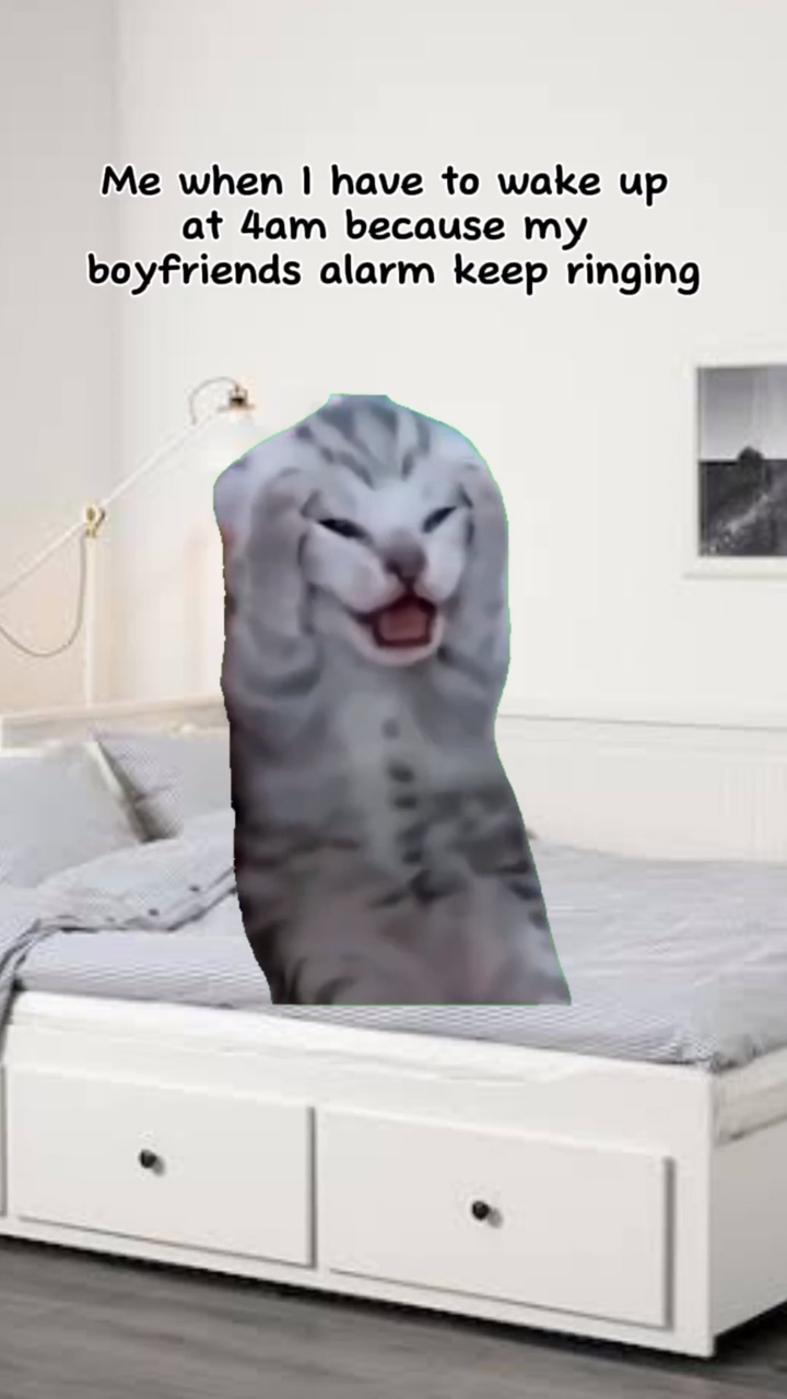 meme cat headache