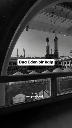 meryemteymurluk
