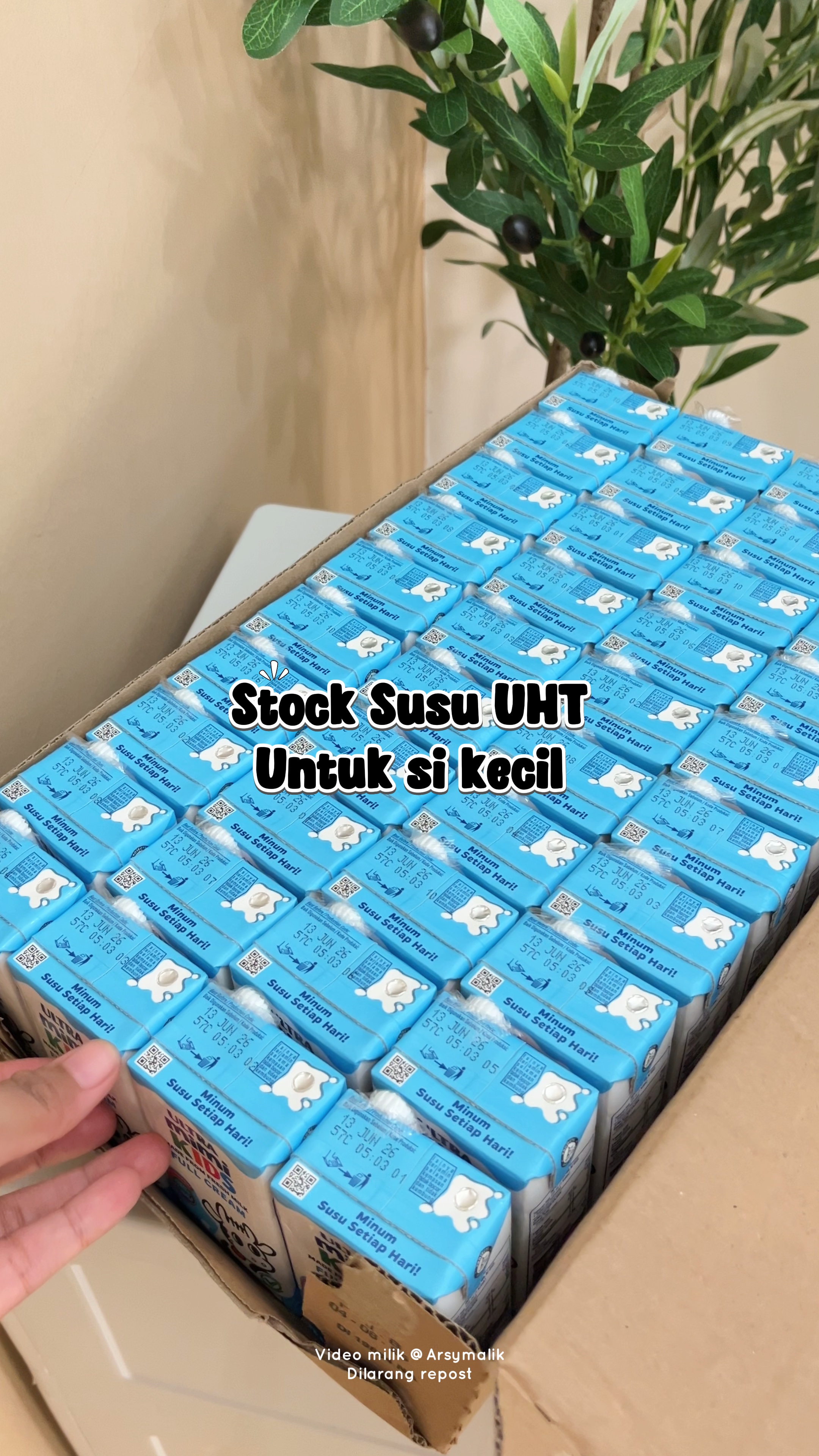 Susu bayi