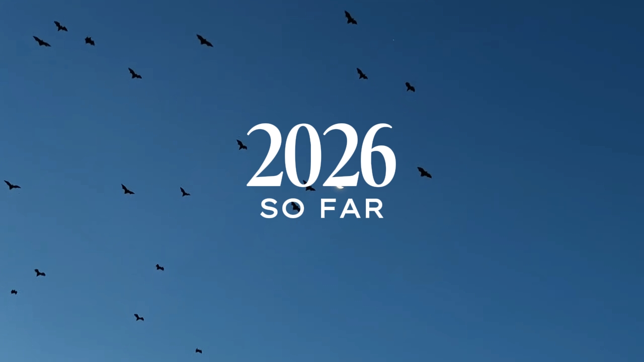 2026 hasta ahora 