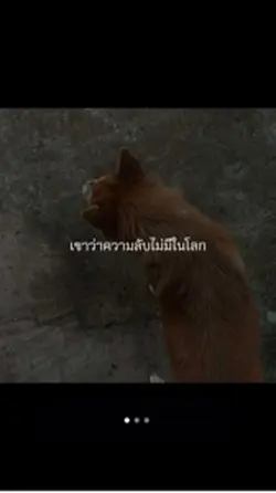 ความลับไม่มีในโลก